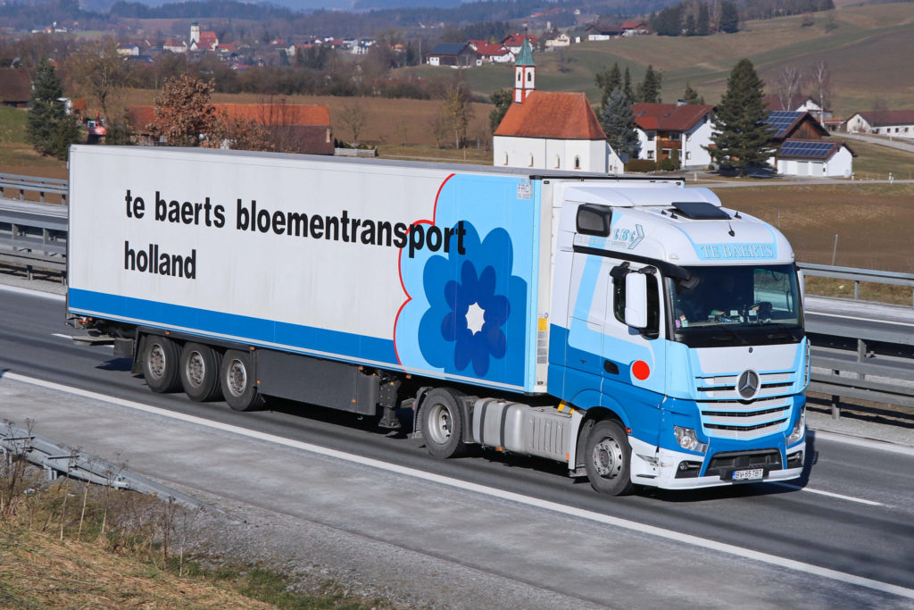 Flotă camioane refrigerare TBT Logistic
